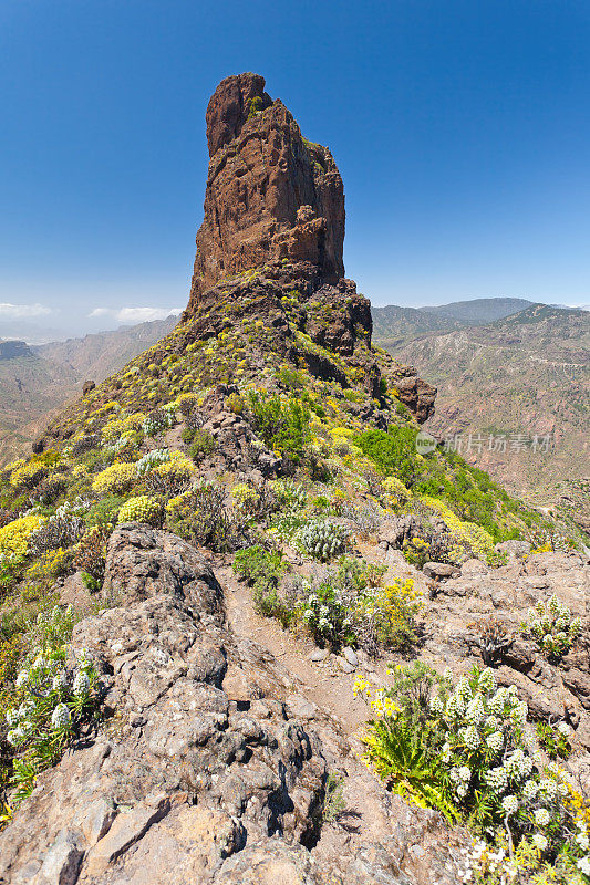 Roque bentaiga在大金丝雀山